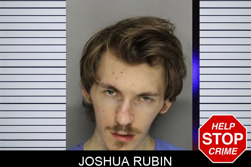 Joshua Rubin Mugshots