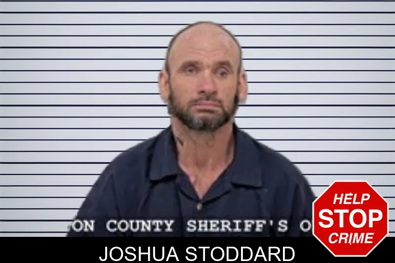 Joshua Stoddard Mugshots