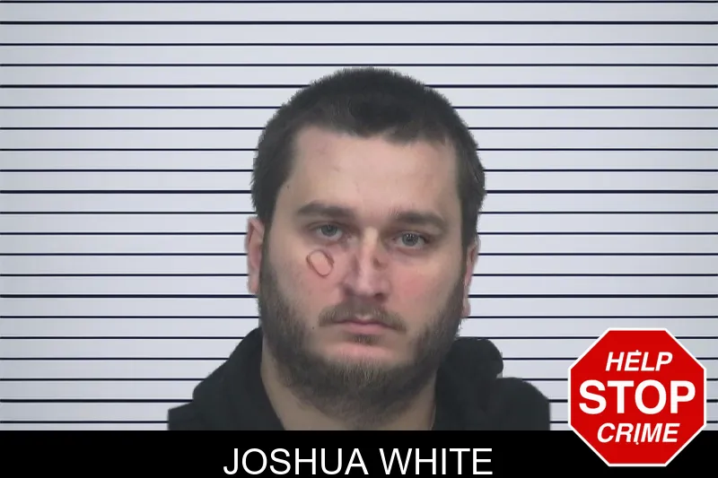 Joshua White mugshot – Gwinnett County , Georgia Joshua White mugshot