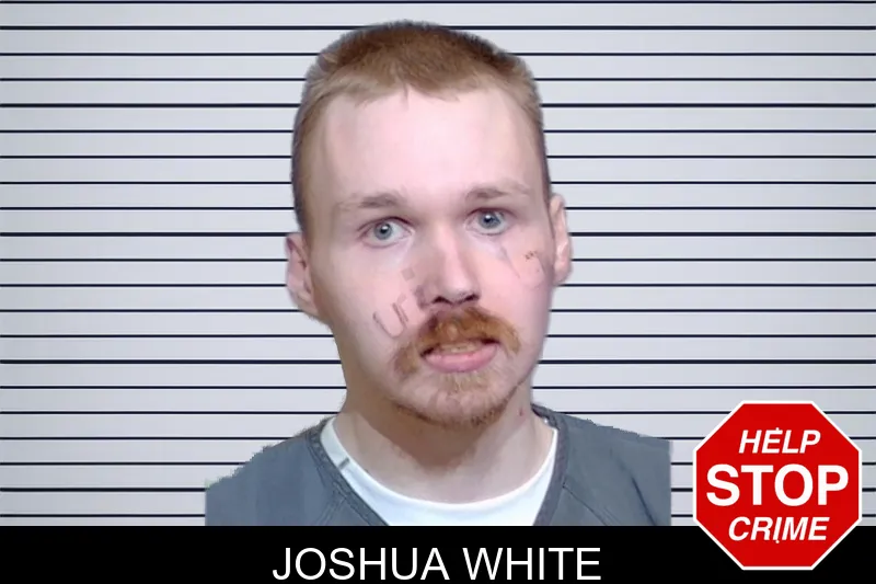Joshua White Mugshots