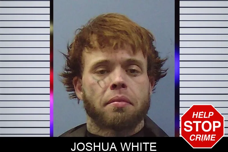 Joshua White Mugshots