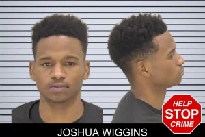 Joshua Wiggins mugshot