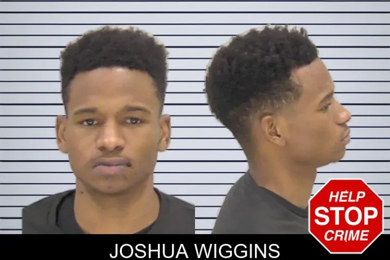 Joshua Wiggins