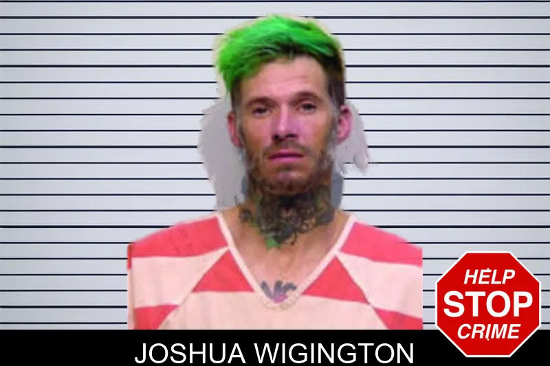 Joshua Wigington Mugshots