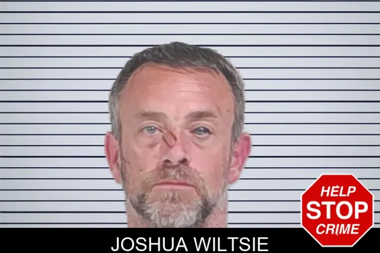Joshua Wiltsie mugshot – Lowndes County , Georgia Joshua Wiltsie