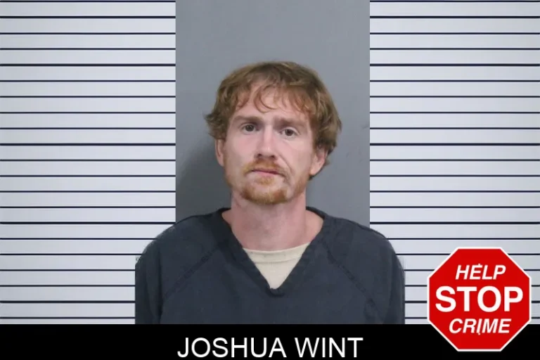 Joshua Wint