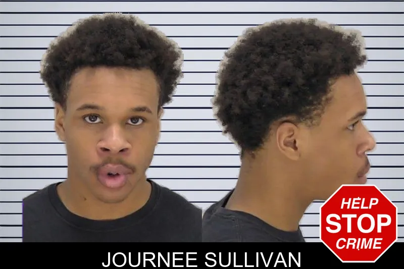 Journee Sullivan mugshot