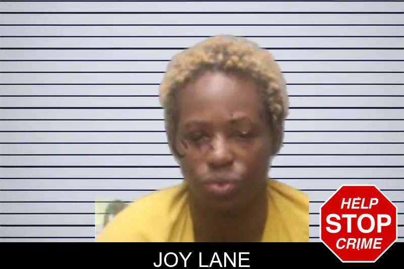 Joy Lane mugshot