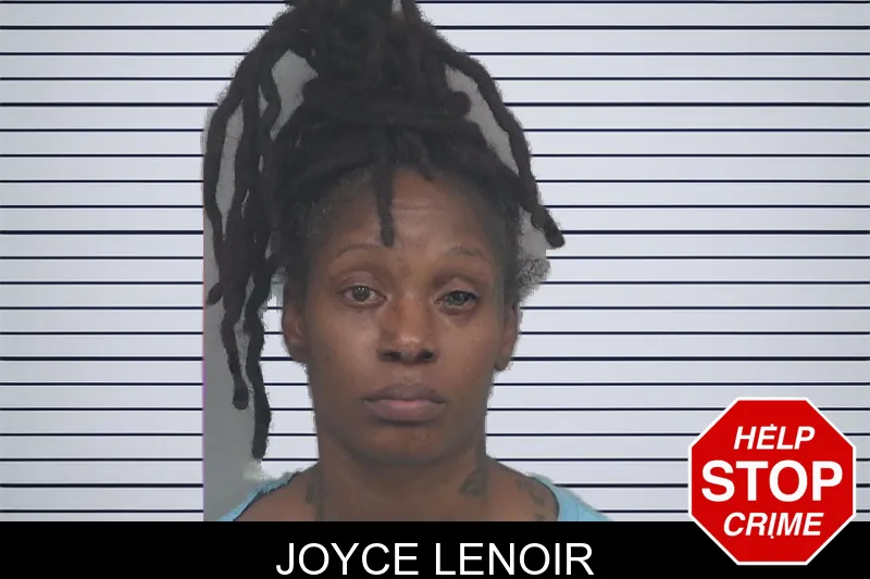 Joyce Lenoir mugshot