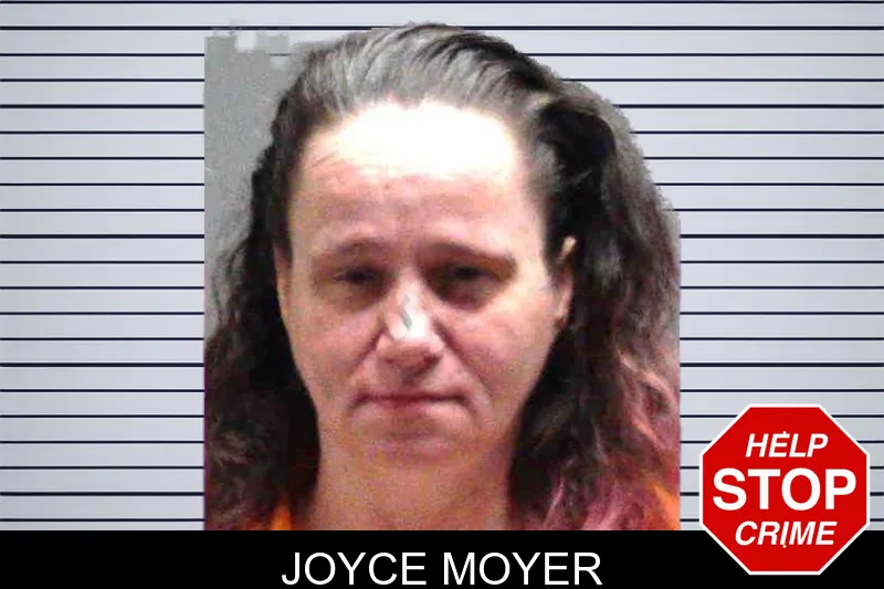 Joyce Moyer Mugshots