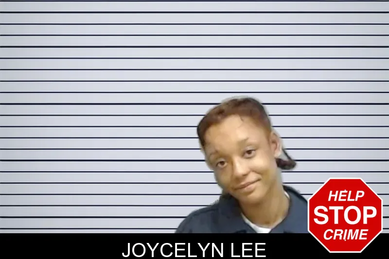 Joycelyn Lee Mugshots