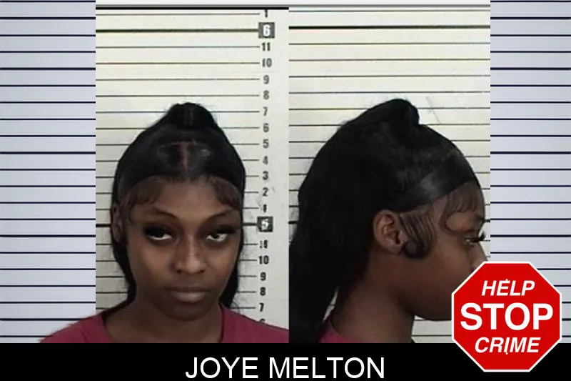 Joye Melton mugshot – Camden County , Georgia Joye Melton mugshot