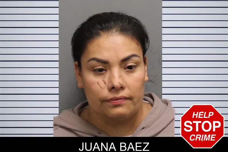 Juana Baez Mugshots