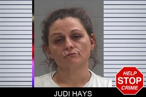 Judi Hays mugshot