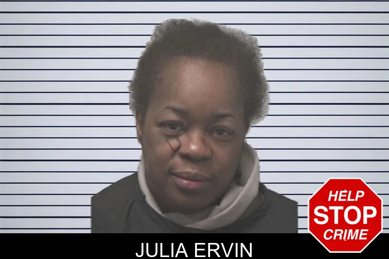Julia Ervin Mugshots