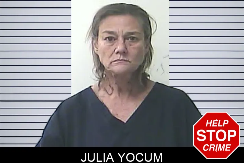 Julia Yocum Mugshots