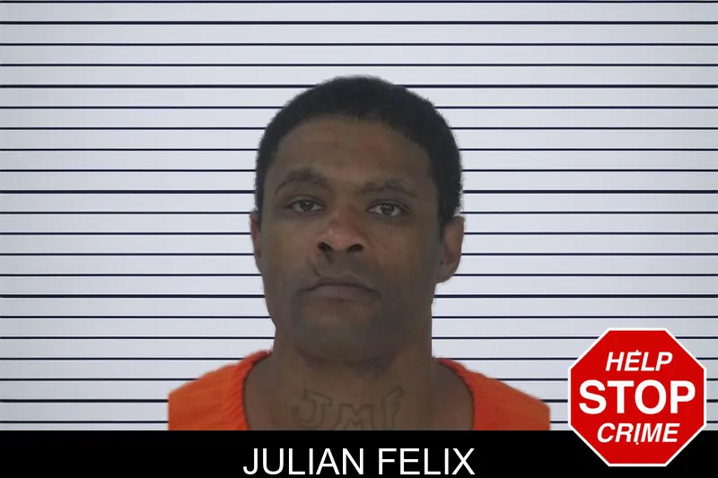 Julian Felix Mugshots