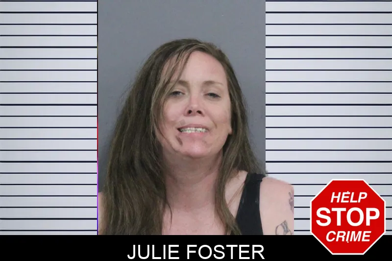 Julie Foster mugshot