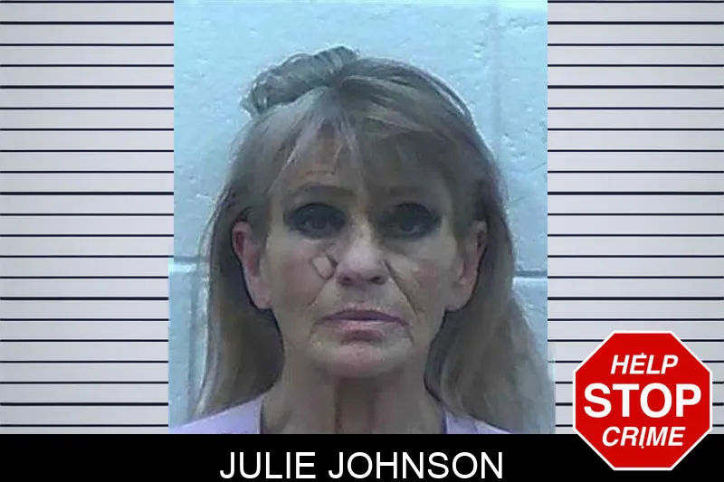 Julie Johnson Mugshots