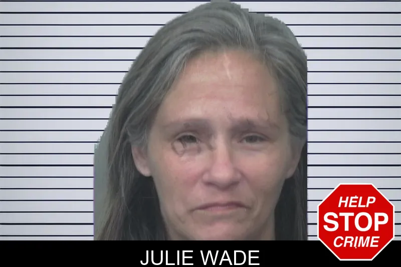 Julie Wade Mugshots