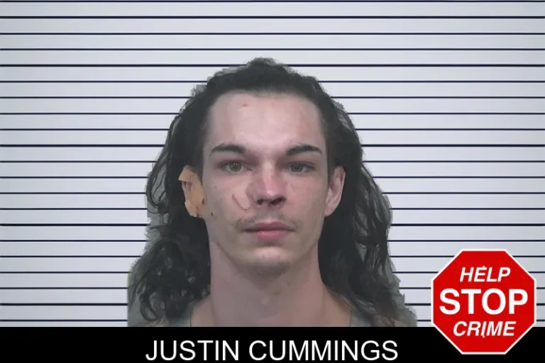 Justin Cummings mugshot – Gwinnett County , Georgia Justin Cummings