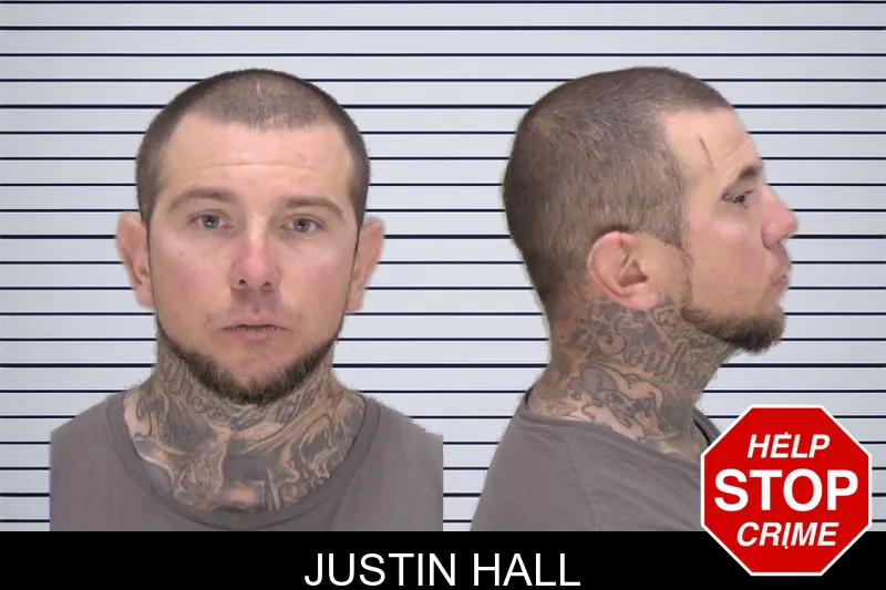 Justin Hall Mugshots