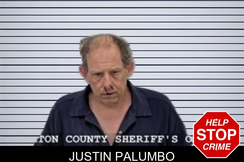 Justin Palumbo mugshot – Walton County , Georgia Justin Palumbo mugshot