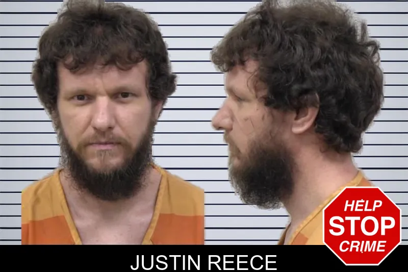 Justin Reece mugshot – Paulding County , Georgia Justin Reece mugshot