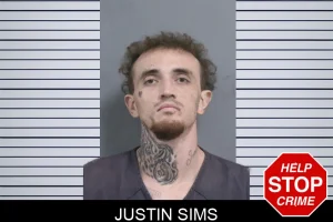 Justin Sims mugshot