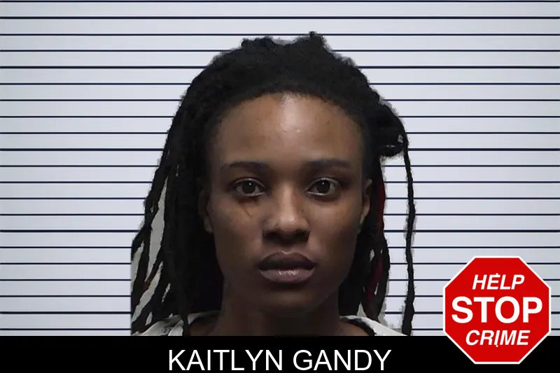 Kaitlyn Gandy Mugshots