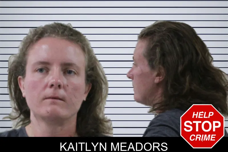 Kaitlyn Meadors Mugshots