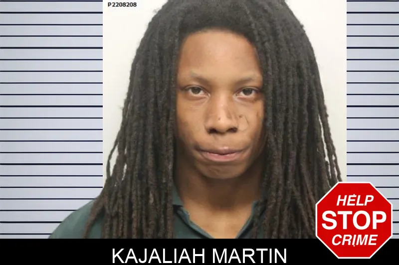 Kajaliah Martin mugshot – Chatham County , Georgia Kajaliah Martin mugshot