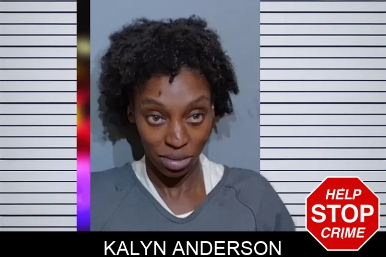 Kalyn Anderson mugshot – Glynn County , Georgia Kalyn Anderson