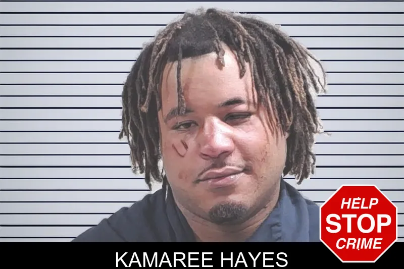 Kamaree Hayes Mugshots
