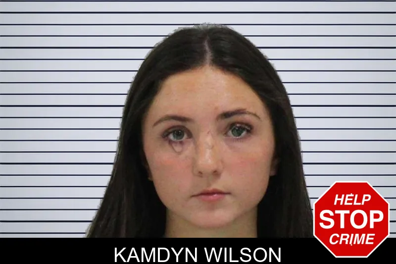 Kamdyn Wilson Mugshots