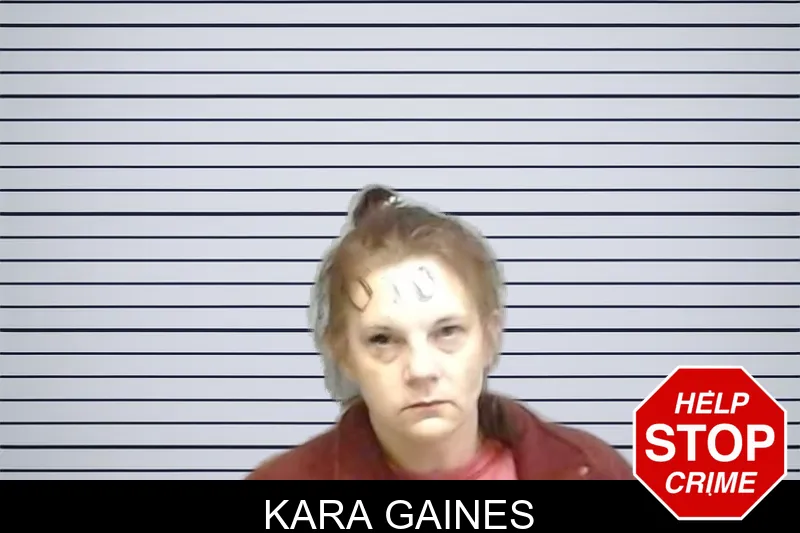 Kara Gaines Mugshots