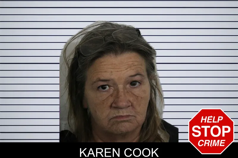 Karen Cook mugshot