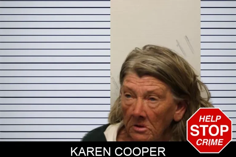 Karen Cooper mugshot – Chatham County , Georgia Karen Cooper