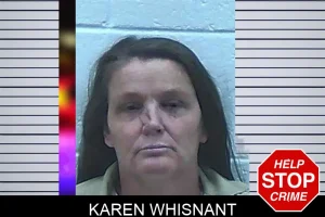 Karen Whisnant mugshot