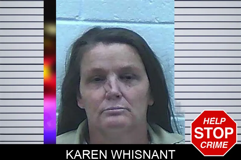 Karen Whisnant Mugshots
