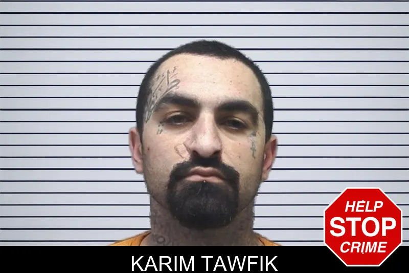 Karim Tawfik Mugshots
