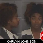 Karlyn Johnson Mugshots