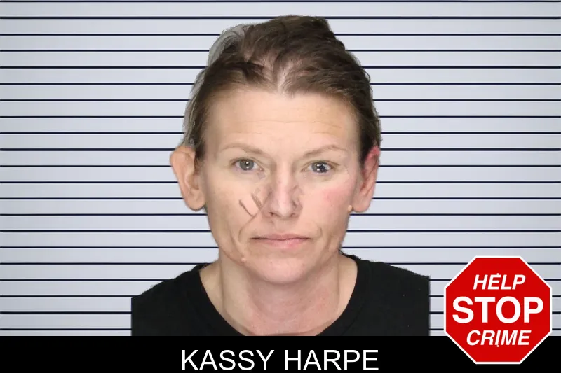 Kassy Harpe mugshot – Cobb County , Georgia Kassy Harpe mugshot