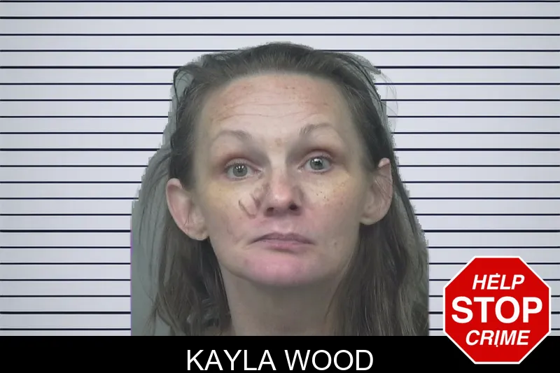 Kayla Wood mugshot