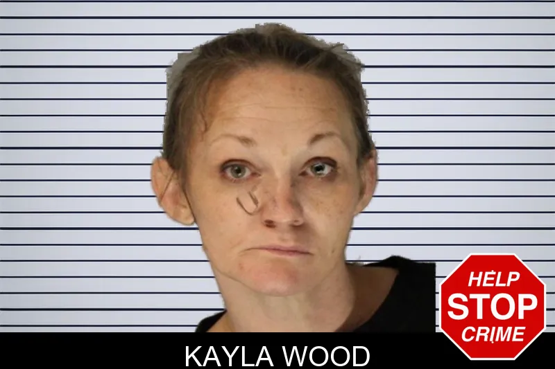 Kayla Wood mugshot – Hall County , Georgia Kayla Wood mugshot