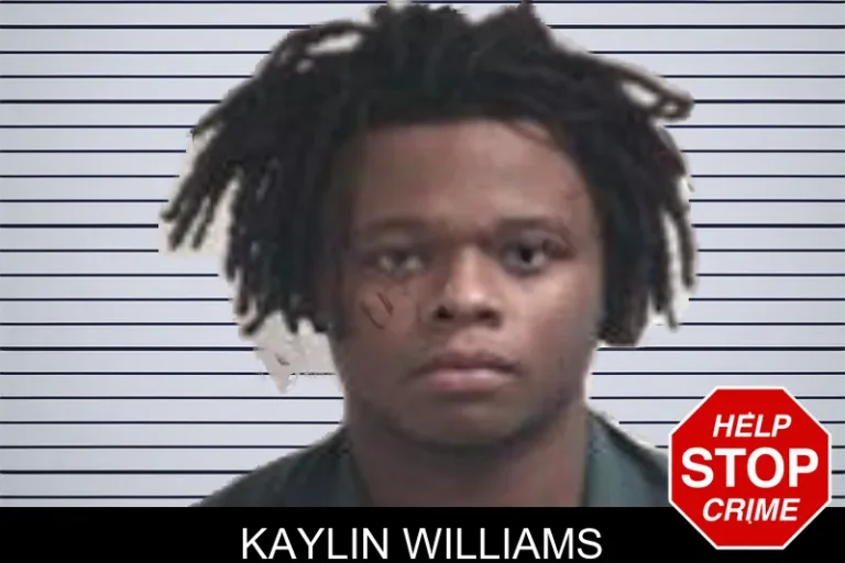 Kaylin Williams mugshot – Henry County , Georgia Kaylin Williams