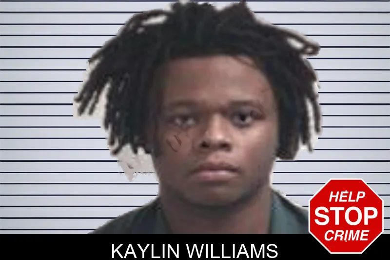 Kaylin Williams mugshot