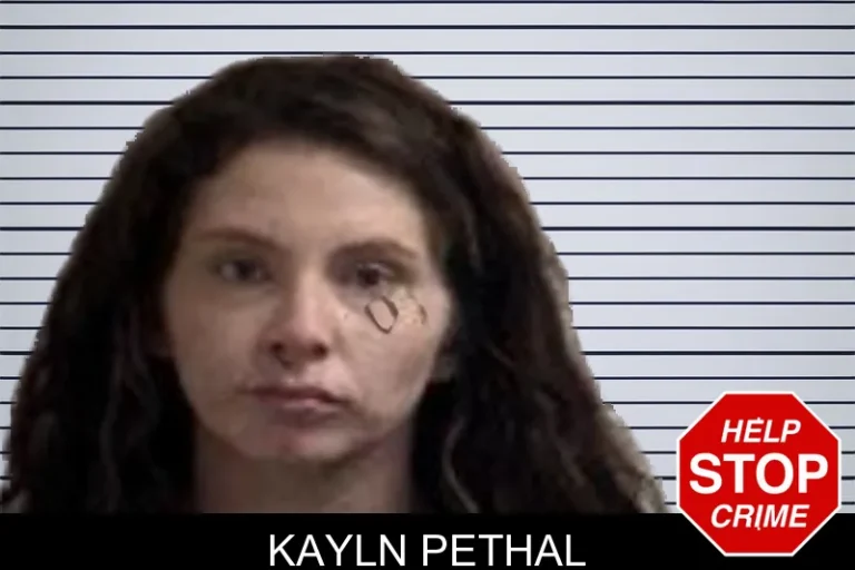 Kayln Pethal mugshot – Henry County , Georgia Kayln Pethal