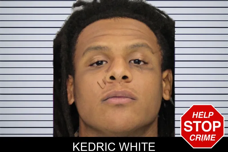 Kedric White mugshot – Cobb County , Georgia Kedric White mugshot