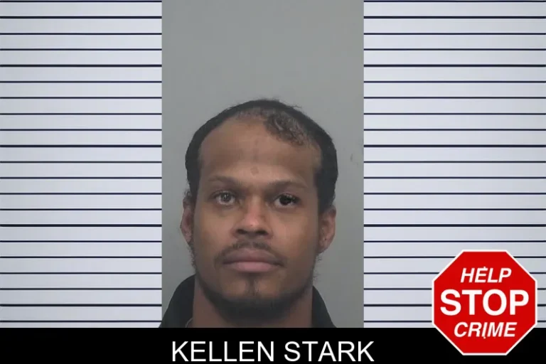 Kellen Stark mugshot – Gwinnett County , Georgia Kellen Stark